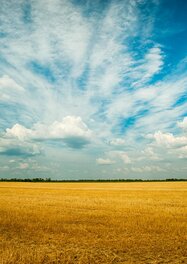 Severník - Březen 2026